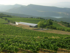 Celler CASTELL D Celler CASTELL D