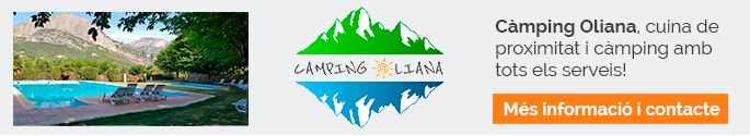 banner apadrina