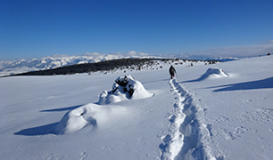 Raquetes de neu