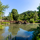 Centre de Fauna del Pont de Suert