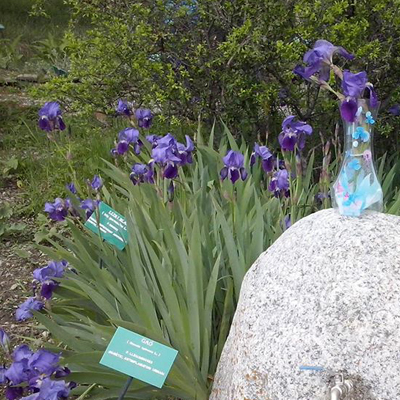 Jardí Botànic de Gombrèn