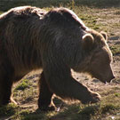 Parc d´animals de Les Angles