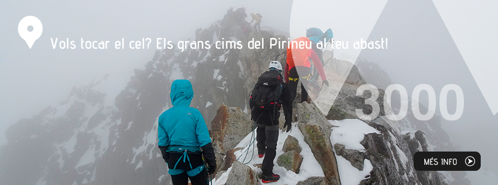 Vols tocar el cel? Els grans cims del Pirineu al teu abast! Vols tocar el cel? Els grans cims del Pirineu al teu abast!