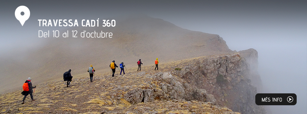 Travessa Cadí 360
