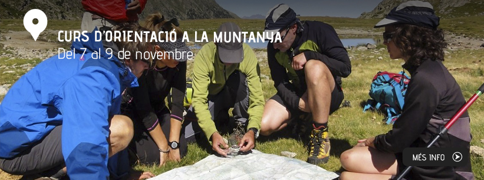 Curso d