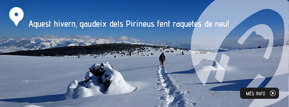 Aquest hivern, gaudeix dels Pirineus fent raquetes de neu! Aquest hivern, gaudeix dels Pirineus fent raquetes de neu!