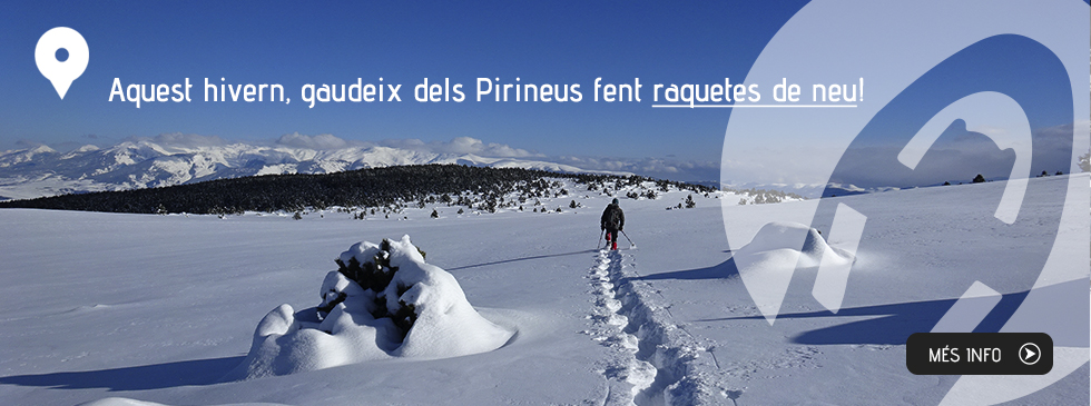 Aquest hivern, gaudeix dels Pirineus fent raquetes de neu!