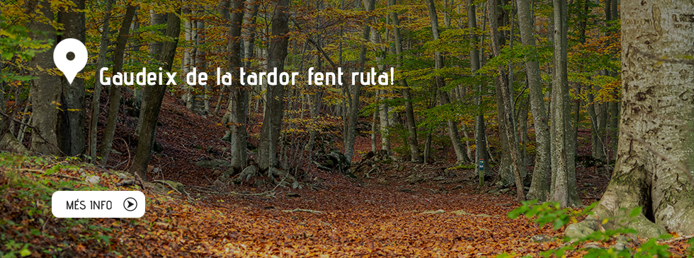 Gaudeix de la tardor fent ruta!