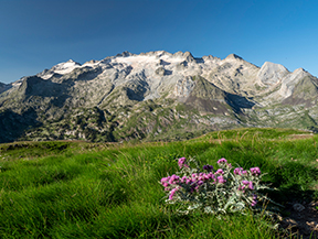 Muntanyes de la Vall de Benasc (4 jornades)