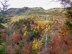 Muntanyes de la Vall d´Aran (4 rutes)