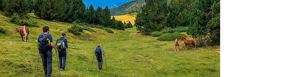 Muntanyes de les Valls d’Àneu - slow (4 jornades)