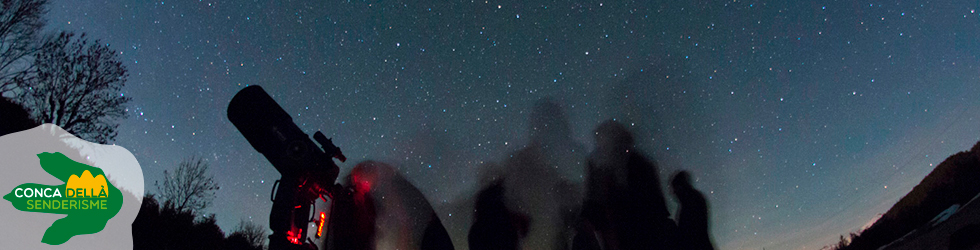 Nit d´estrelles amb un quart de lluna