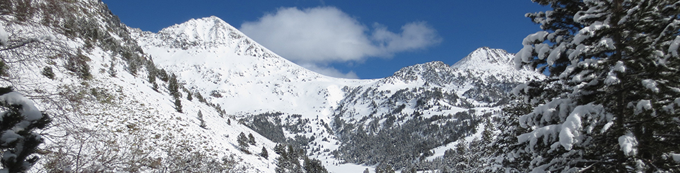Aigüestortes i estany Llong