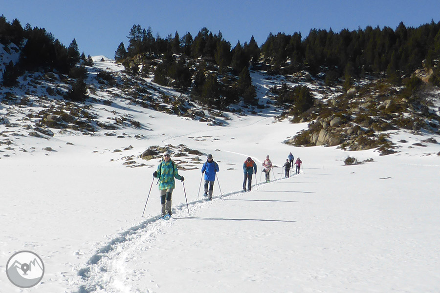 Raquetes de neu 1