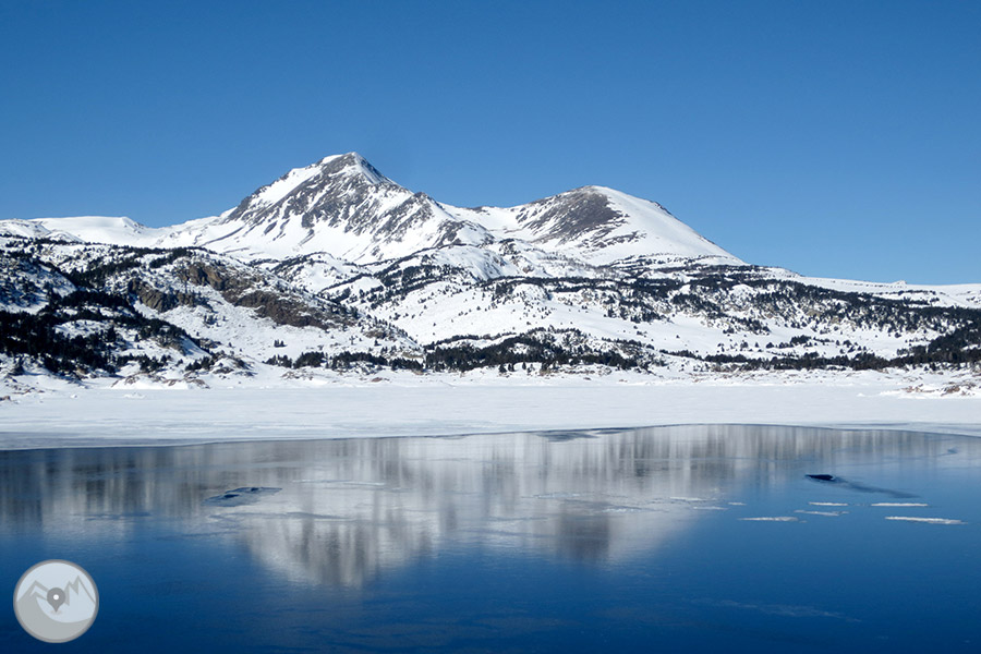 Raquetes de neu 4