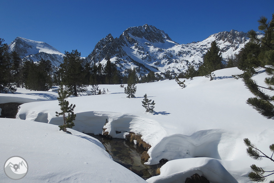 Raquetes de neu 5