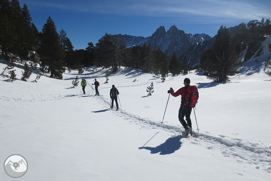 Raquetes de neu 6