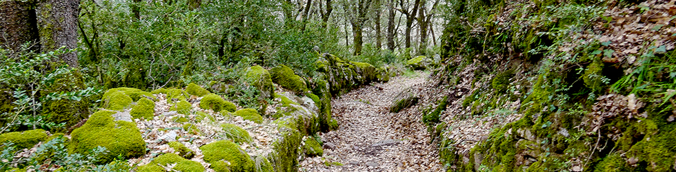 Ramat de l´Est (6 dies)