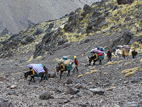 Trekking i ascensió al Toubkal (6 dies)