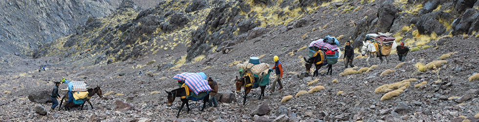 Trekking i ascensió al Toubkal (6 dies)