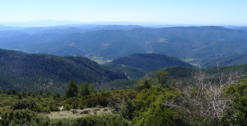 Baix Ripollès i Montgrony