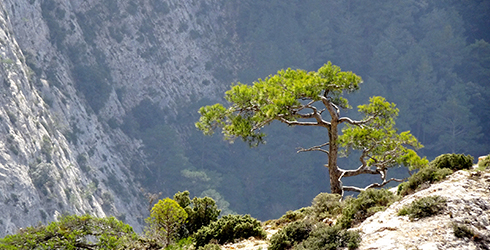 Els Ports i les serres de Pàndols i Cavalls