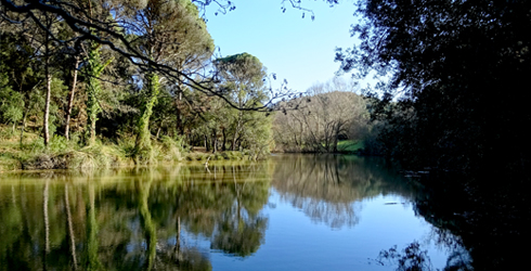 La Selva