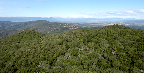 Ardenya-Cadiretes (Gironès)