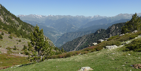 Parròquia d´Andorra la Vella