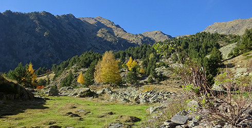 Parròquia de la Massana