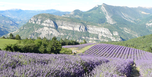 Provença-Alps-Costa Blava