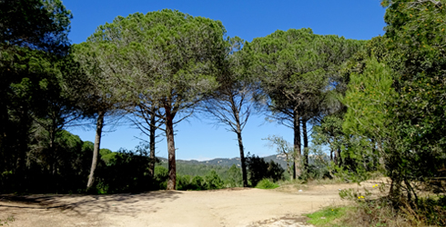 Serra de Marina