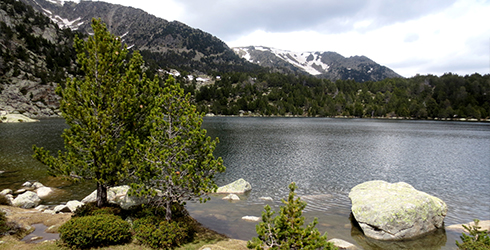 Vall de la Cerdanya (Girona)