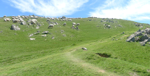 Valls Pirinenques (Navarra)