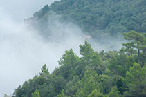 La boira, element màgic a la zona de les Agulles de Montserrat.