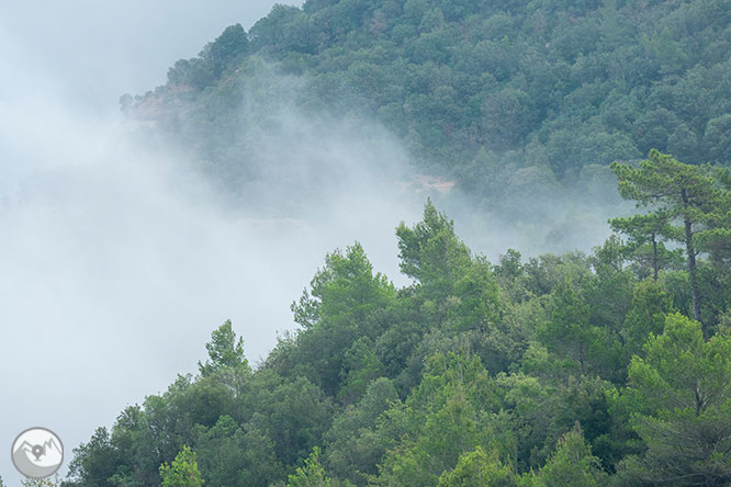 Volta a les Agulles de Montserrat des de Can Maçana 1 