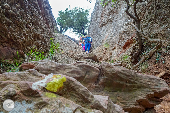 Volta a les Agulles de Montserrat des de Can Maçana 1 