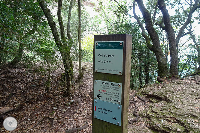 Volta a les Agulles de Montserrat des de Can Maçana 1 