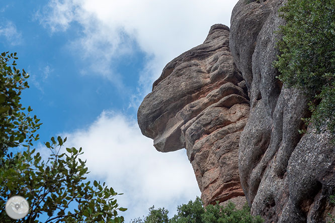 Volta a les Agulles de Montserrat des de Can Maçana 1 