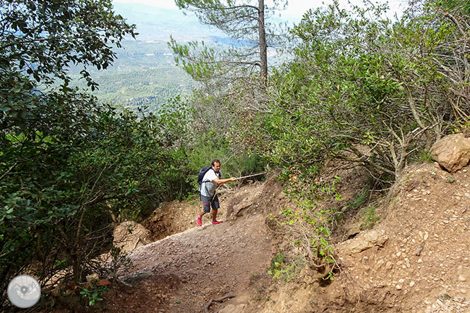 Volta a les Agulles de Montserrat des de Can Maçana 1 