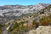 Les cingleres de la Roca de Perles i la Roca de Galliner vistes des de prop del pla de Guilla (fora d´itinerari).