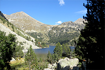 Primera visió de l´estany Llong entre una clariana del bosc.