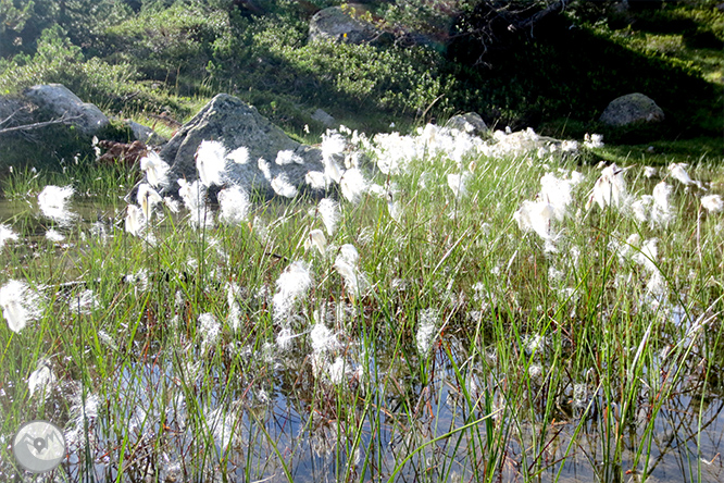 Estany Llong i Portarró d