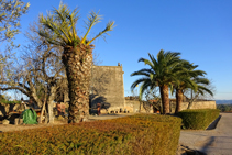 Jardins de caire mediterrani a Madremanya.