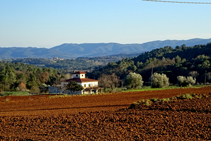 Vistes al massís de les Gavarres des del pla d´en Marçal.