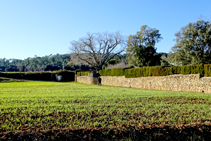 Camps de cereals al camí del Puig.