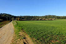 Serra de Millàs.