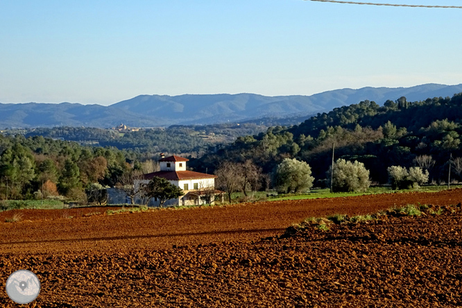 Al peu de les Gavarres des de Madremanya 1 