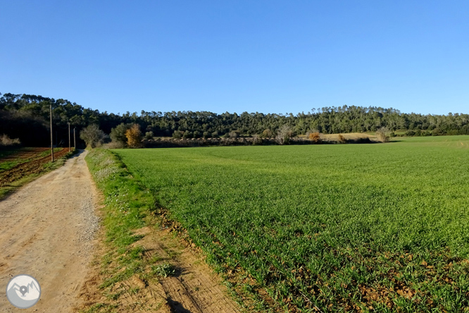 Al peu de les Gavarres des de Madremanya 1 