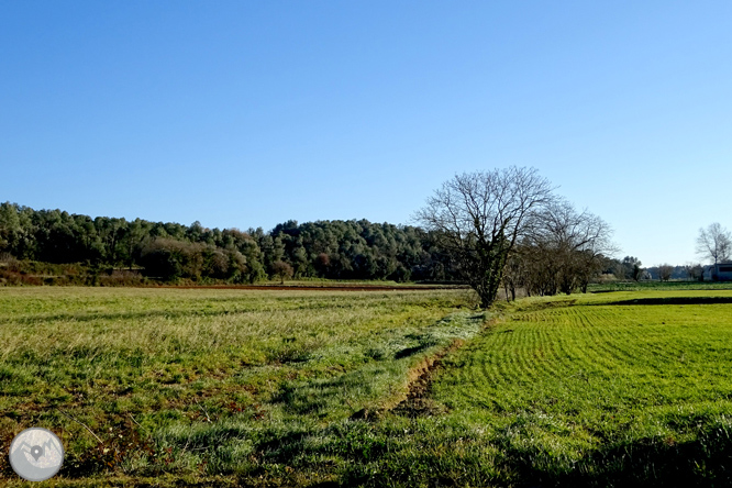 Al peu de les Gavarres des de Madremanya 1 